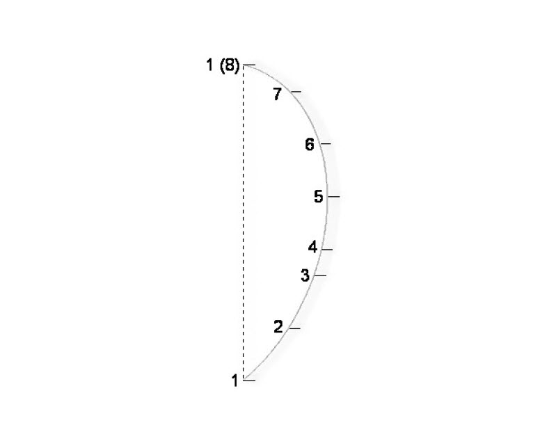 Diagram of internal dynamics at play within a major musical scale.