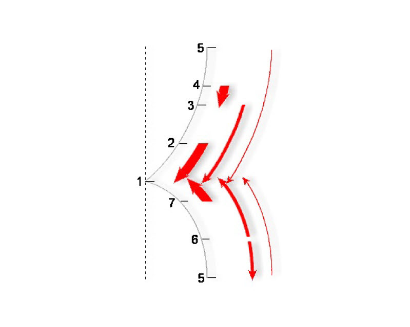 Diagram showing the gravitational pull of the tonic note in a  diatonic musical scale.